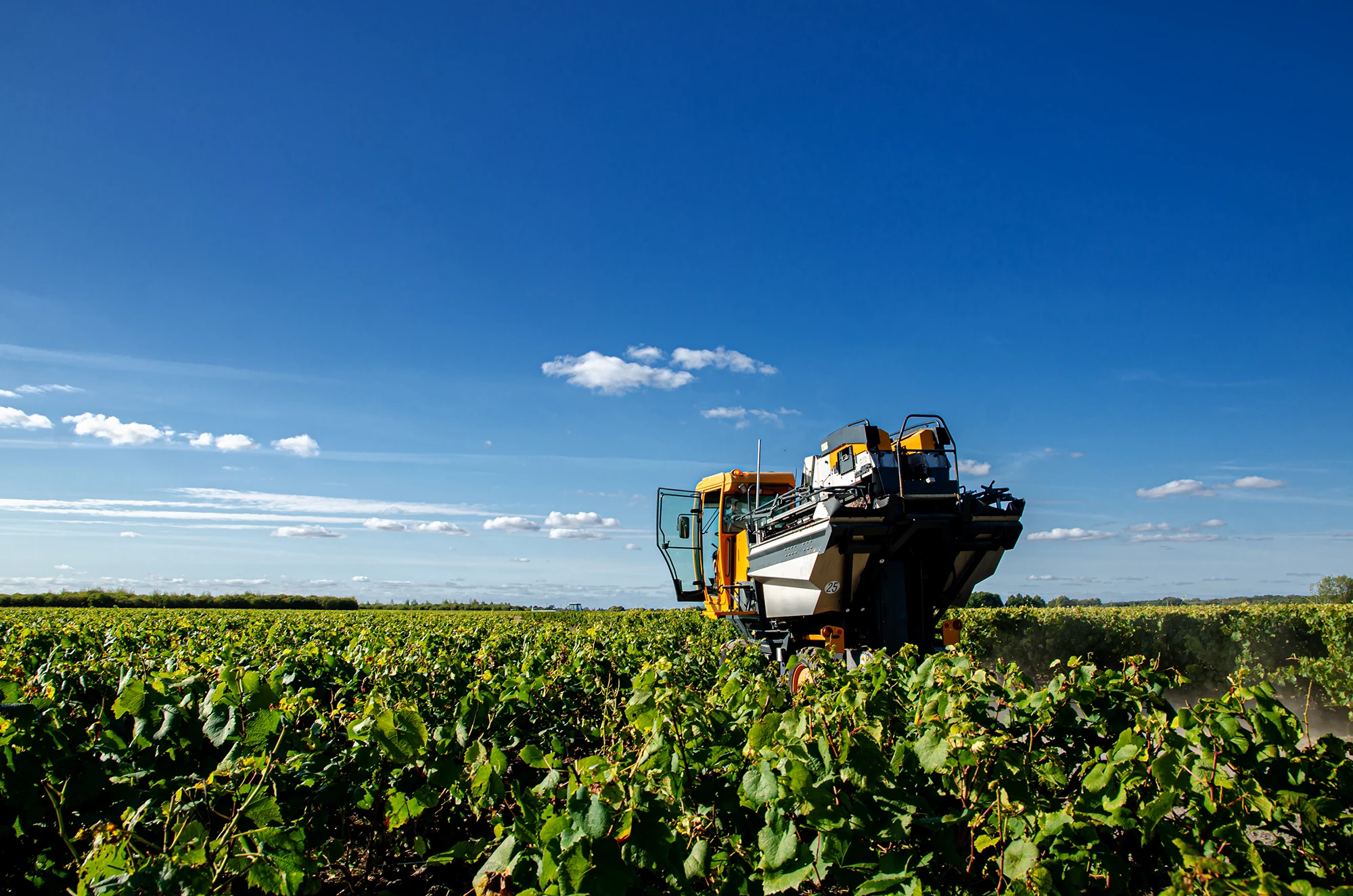 Initiation/perfectionnement à la conduite de tracteurs enjambeurs
